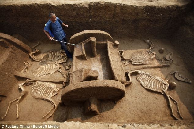 Những cỗ chiến mã 3.000 năm tuổi trông còn khá nguyên vẹn được phát hiện tại Lạc Dương, Hà Nam, Trung Quốc.
