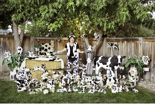 Bộ sưu tập bò sữa lớn nhất thế giới của Denise Tubangui (Mỹ). Bà đã sưu tầm được 2.429 đồ vật có liên quan tới bò kể từ năm 1990 tới tháng 3/2011.