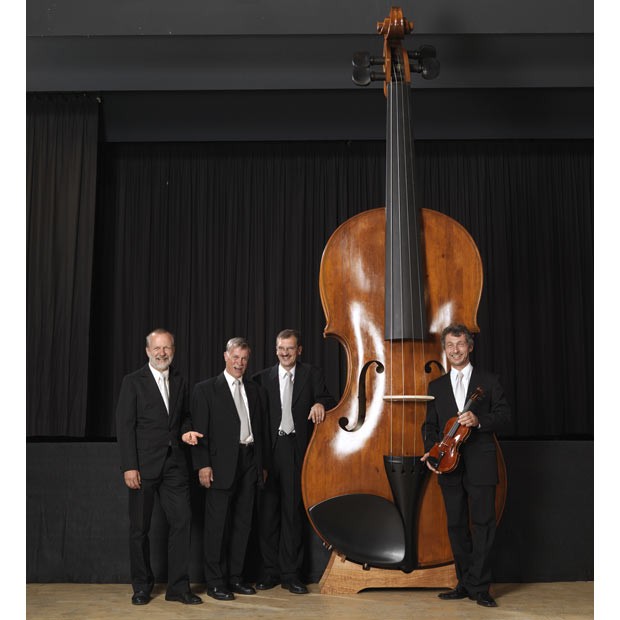 Đàn violin có thể chơi nhạc lớn nhất thế giới với kích thước 4,28m cao; 1,45m rộng và nặng hơn 100 kg. Nó được làm ra bởi 12 thợ làm đàn tại Markneukirchen, Đức.