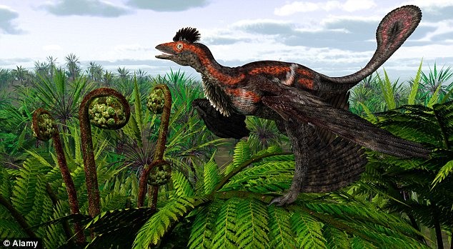 Lông của khủng long cũng có một số điểm tương đồng với cấu trúc lông của loài chim hiện đại.