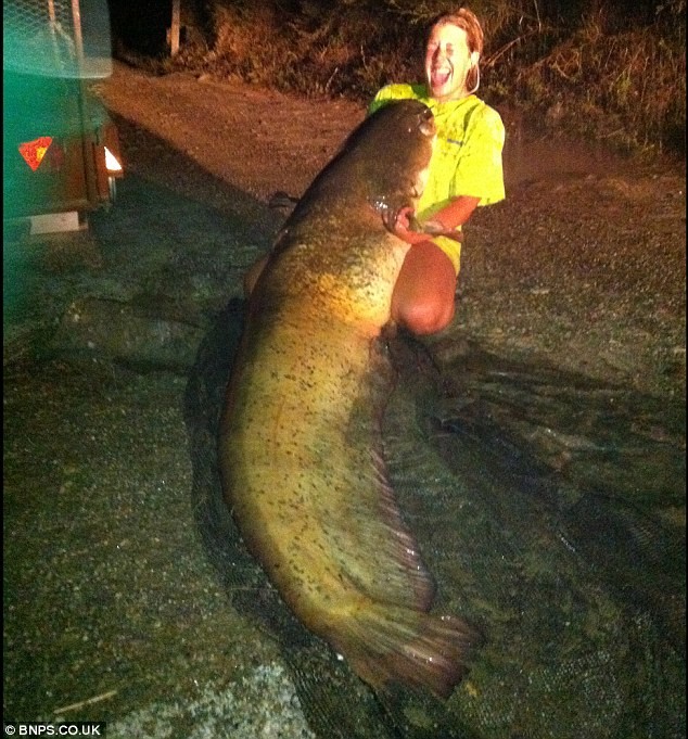 Alexa Turness, 28 tuổi, sống tại Holland Park, Tây London, Anh đã bắt được con cá khổng lồ trên sau nửa giờ đồng hồ đánh vật với nó tại sông Segre, ở miền bắc Tây Ban Nha.