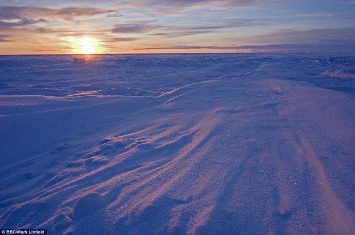 Cảnh mặt trời mọc lần đầu tiên trong năm ở quần đảo Svalbard của Bắc Cực.