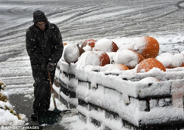 Những trái bí ngô trang trí bị lấp trong tuyết. Công nhân dọn đường chuẩn bị cho trận đấu sắp tới của hai đội bóng West Virginia và Rutgers tại Piscataway, New Jersey