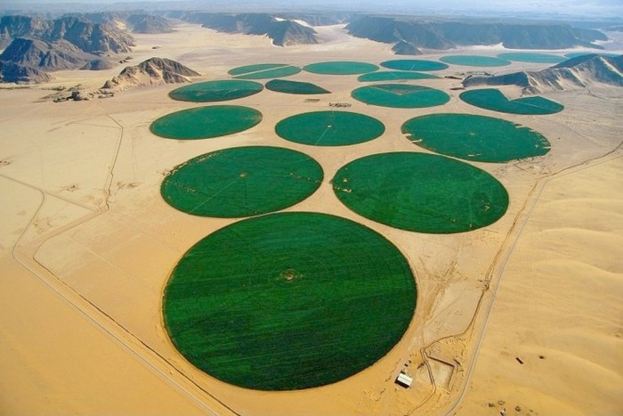 Hồ Al-Mukhtar Umar (ảnh trên) và màu xanh của cây trồng trở về với sa mạc Sahara nhờ con sông nhân tạo vĩ đại Sông Đại Manmade