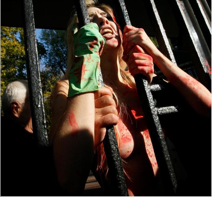Hàng trăm con vật đã chết tại các vườn thú trong những năm gần đây do suy dinh dưỡng, thiếu chăm sóc y tế và bị lạm dụng. Nhóm FEMEN đã kêu gọi đóng cửa vườn thú 100 năm tuổi của Kiev