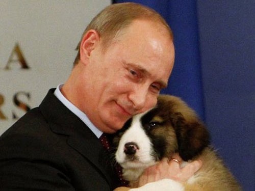 Chú chó giống Karakachan Thủ tướng Putin vừa mới được tặng bởi Thủ tướng Bulgari trong cuộc gặp ở Sofia tháng 11/2011