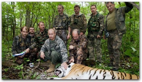 Thủ tướng Putin dùng súng bắn thuốc mê hạ gục một con hổ tháng 9/2008
