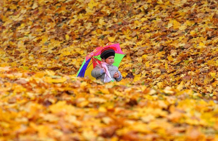 Một bé gái đang dạo chơi giữa biển lá vàng trong công viên ở Minsk, Belarus.