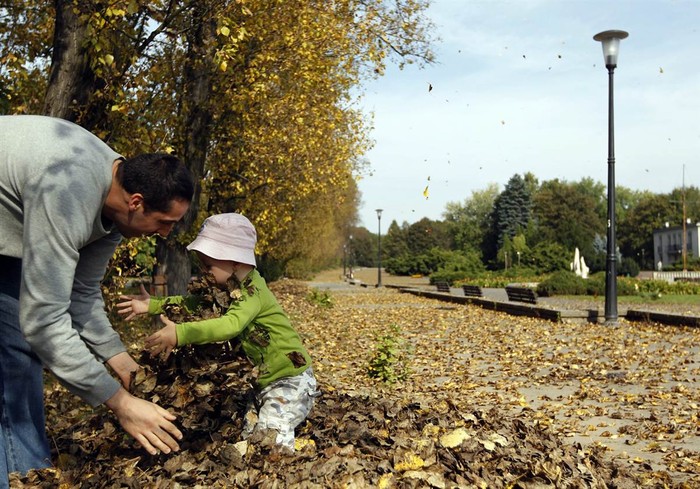 Người đàn ông và một cậu bé nghịch đám lá rụng trong những ngày cuối cùng của mùa thu tại công viên Silesian Culture và Recreation ở Chorzow, nam Ba Lan