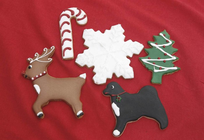 Bánh quy Giáng sinh của Nhà Trắng Giáng có hình chó Bo, gia đình Tổng thống Obama và tuần lộc Rudolph mũi đỏ.