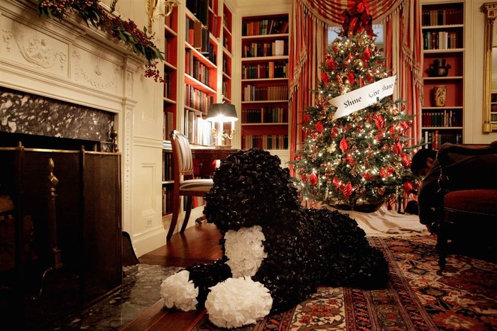Bản sao chó Bo được làm bằng túi bóng đặt trước lò sưởi trong Thư viện của Nhà Trắng. Nó được làm từ 2.055 m túi bóng nilon.