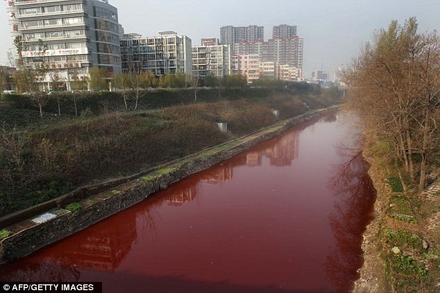 Cả dòng sông biến thành màu đỏ máu vì nước thải