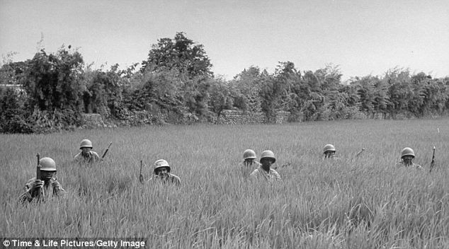 Lính Mỹ ẩn nấp trên cánh đồng lúa trong cuộc chiến tranh liên Triều