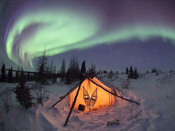 Một chiếc lều tỏa sáng trong ánh đèn bên dưới ánh sáng xanh của cực quang tại phía bắc vịnh Hudson, Canada. Ảnh Thomas Kokta.