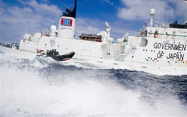 Các nhà hoạt động chống săn cá voi tiếp cận tàu Shonan Maru 2 của Nhật Bản