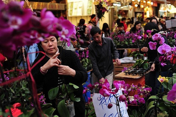 Một góc chợ hoa Tết ở Hong Kong
