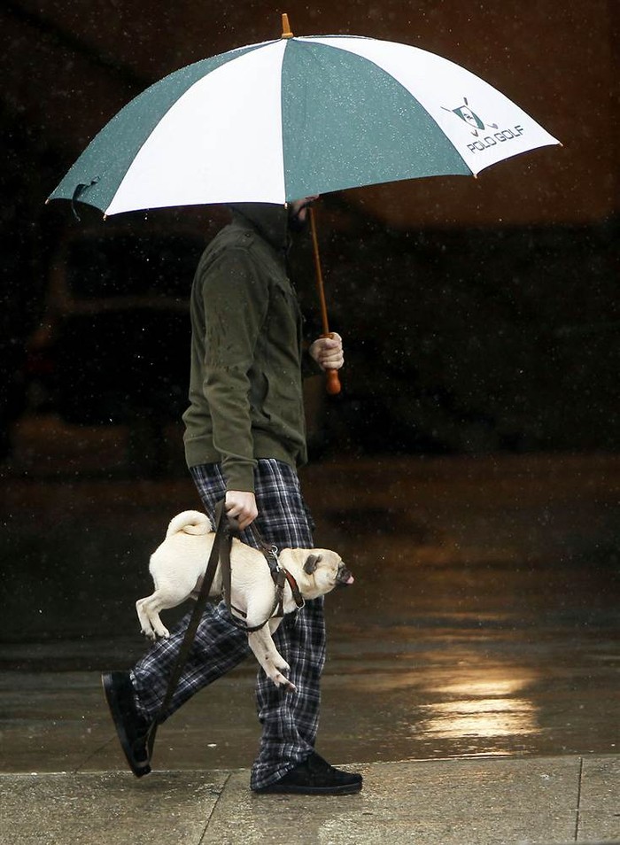 Justin Bonderach xách chú chó Jack đi bộ dưới trời mưa ở Los Angeles ngày 23/1
