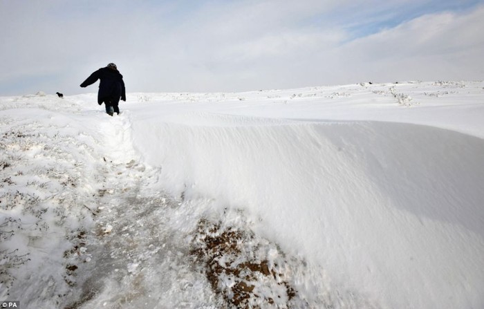 Một phụ nữ vất vả vượt qua con đường mòn có tuyết rơi dầy ở Exmoor