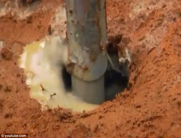 Các nhà khoa học đã đổ bê tông vào các lỗ trên mặt đất nhằm làm phát lộ mạng lưới hầm ngầm của đô thị kiến.