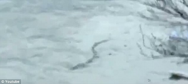 Thủy quái giống trăn khổng lồ di chuyển trên sông băng tại Iceland