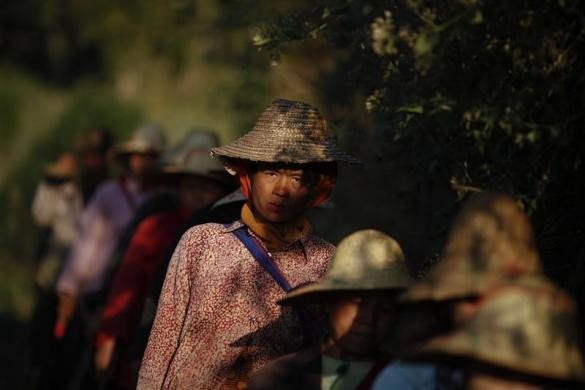 Dân làng Ho Hwayt đi bộ về nhà sau khi phá hủy các cánh đồng trồng thuốc phiện ngày 26/1/2012.