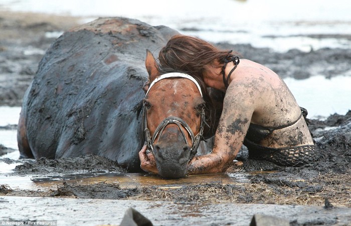 Sự cố xảy ra khi Graham và con gái cưỡi ngựa dạo chơi dọc theo bờ biển gần Geelong, phía nam Melbourne, Australia.