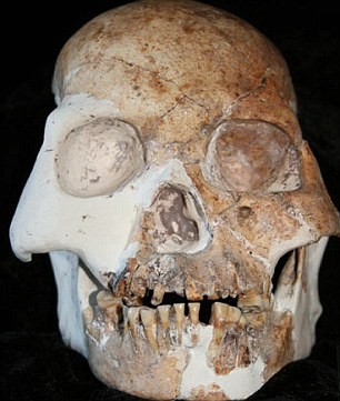 Hóa thạch sọ của “người Red Deer”