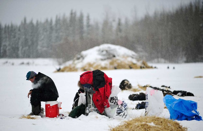 Một tay đua ngồi gần trạm kiểm soát tại Nikolai, Alaska ngày 7/3.
