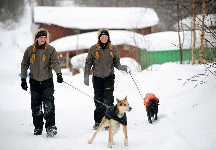 Cặp song sinh Anna (trái) và Kristy Berington đi bộ với hai chú chó Stormy và Blue tại Takotna, Alaska ngày 8/3.