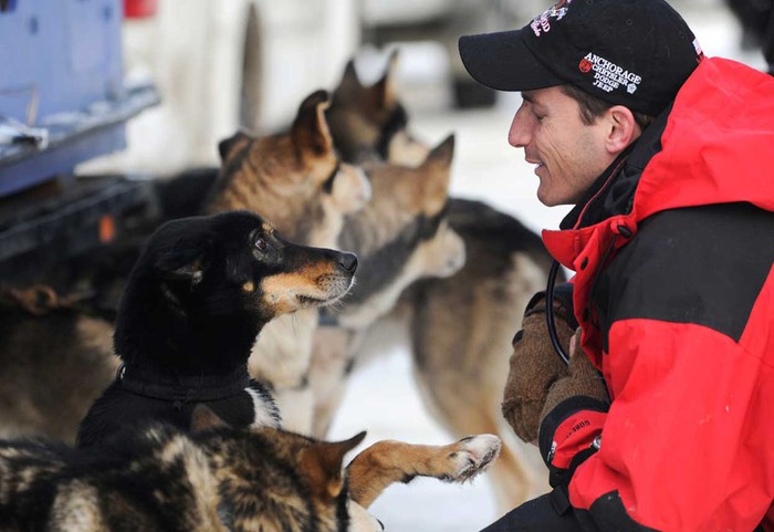 Veterinarian Scott Rosenbloom nhìn những con chó của Karin Hendrickson tại một trạm thú y ở Wasilla, Alaska ngày 29/1 trước khi cuộc đua bắt đầu.