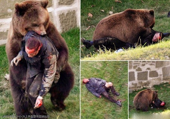 Con gấu tấn công và mang thi thể đẫm máu của người đàn ông đột nhập vào chuồng của nó trong sở thú Bern.