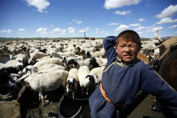 Một cậu bé chăn cừu tại Ondodor, ngoại ô Ulan Baatar ngày 13/8/2006.