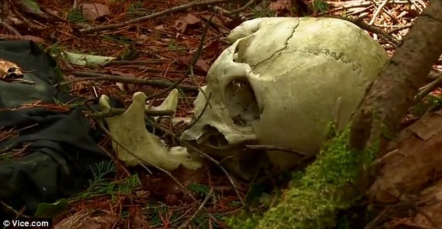 Một bộ xương người được phát hiện bởi Azusa Hayano và đoàn phim trong rừng Aokigahara, điểm nóng về tự tử của Nhật Bản