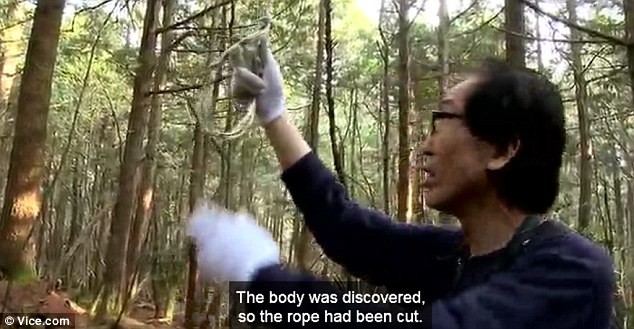 Nhà địa chất học kiểm tra một dây thòng lọng trong rừng tự tử dưới chân núi Phú Sĩ.