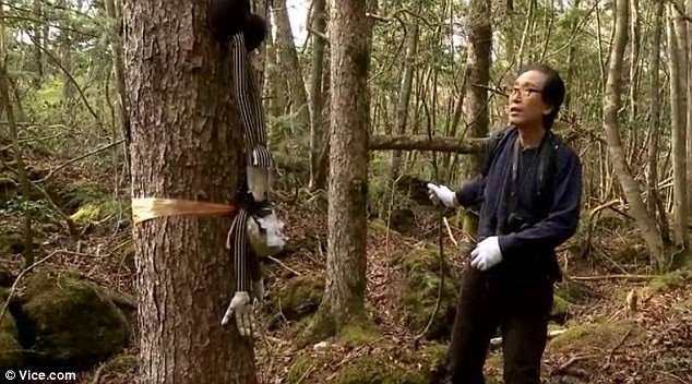 Ông Hayano tìm thấy một con búp bê bị đóng đinh vào một cái cây, mà theo ông đó là một biểu hiện của lòng căm thù của xã hội. Ngoài ra, ông cũng tìm thấy các dây băng nhựa mà người một số người dùng để tìm đường ra ngoài trong trường hợp thay đổi ý định.