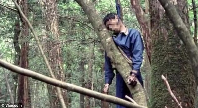 Một người đàn ông tự tử trong rừng Aokigahara