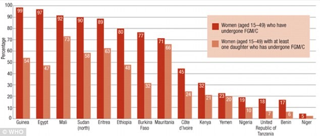 Biểu đồ tỷ lệ phần trăm phụ nữ và con gái họ ở các nước châu Phi đã trải qua hủ tục cắt cửa mình.
