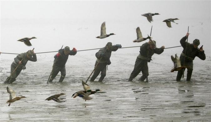 Ngư dân kéo lưới đánh cá chép tại hồ Svet Bohemian, phía nam thị trấn Trebon ngày 4/11/2008.