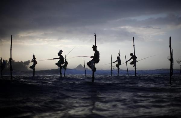 Ngư dân Sri Lanka ngồi câu cá trên cọc tại Ahangama, cách phía nam Colombo khoảng 180 km ngày 8/10/2009. Các cọc câu cá này đều là vật sở hữu tư nhân và được truyền từ thế hệ này qua thế hệ khác.
