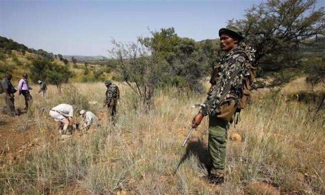 Các thành viên thuộc đơn vị chống săn trộm quốc gia Pilanesberg (APU) cùng cảnh sát địa phương có mặt tại hiện trường một vụ săn trộm tê giác ở Nam Phi hôm 19/4/2012.
