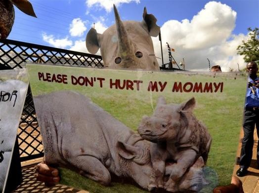 Người biểu tình chống săn trộm tê giác giơ biểu ngữ bên ngoài đại sứ quán Trung Quốc tại Pretoria, Nam Phi ngày 29/3/ 2012.