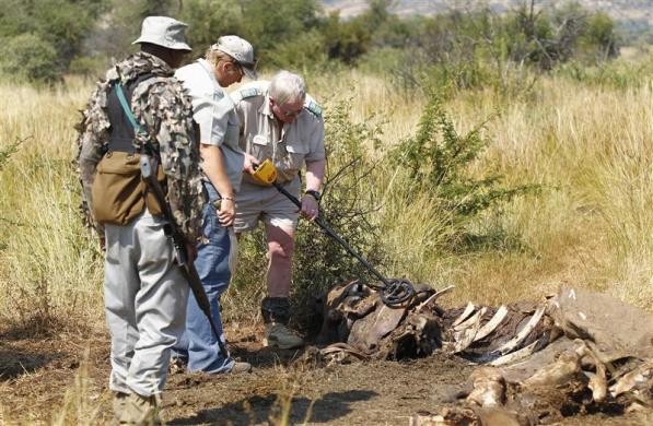 Các thành viên APU đứng bảo vệ hiện trường một vụ săn trộm tê giác tại Nam Phi ngày 19/4/2012.