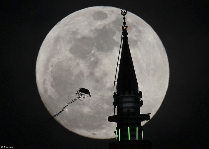 Một chiếc diều như đang muốn lên Mặt trăng tại Amman