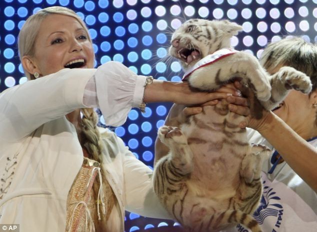 Khoảnh khắc hạnh phúc của bà Tymoshenko khi được trao tặng hổ Tigryulia lúc bắt đầu chiến dịch tranh cử của mình năm 2009.