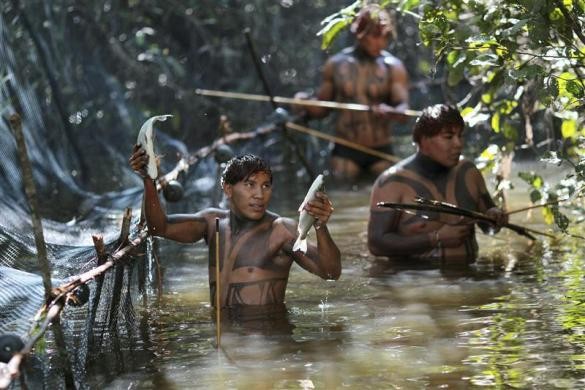 Thành viên bộ lạc Yawalapiti bắt cá - nguồn cung cấp thực phẩm chủ yếu cho họ - trong công viên quốc gia Xingu, bang Mato Grosso, Brazil ngày 7/5/2012.