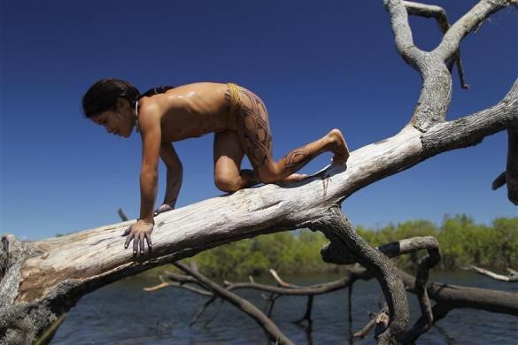 Một cô gái Yawalapiti trèo lên cây chuẩn bị nhảy xuống sông tắm