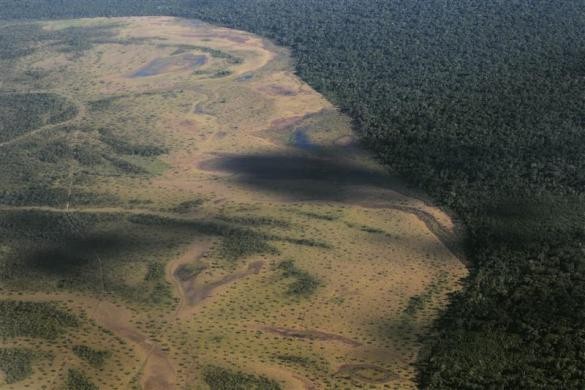 Một phần công viên quốc gia Xingu nhìn từ trên không