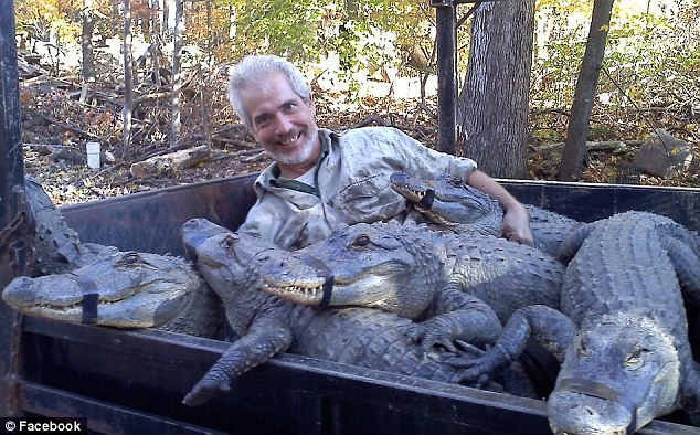 Ảnh ông Boyce từng tham gia khống chế những con cá sấu hoang dã khác được đăng tải trên Facebook của ông.