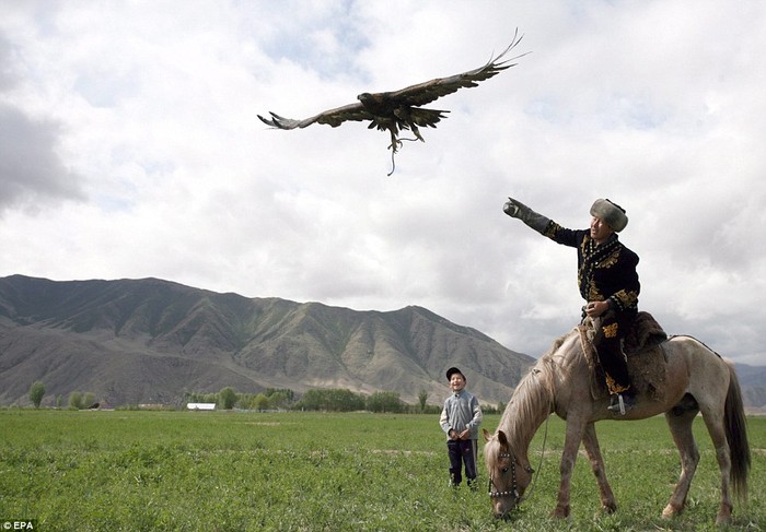 Talgarbek Shajbyrov thả đại bàng vàng của mình cho nó hưởng chút tự do tại làng Bokonbaevo, Kyrgyzstan trong sự thích thú của cậu con trai nhỏ đứng cạnh.