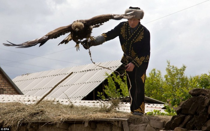 Ông Talgarbek đã học cách huấn luyện chim đại bàng vàng từ năm 7 tuổi.